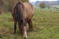 aktuelles201924